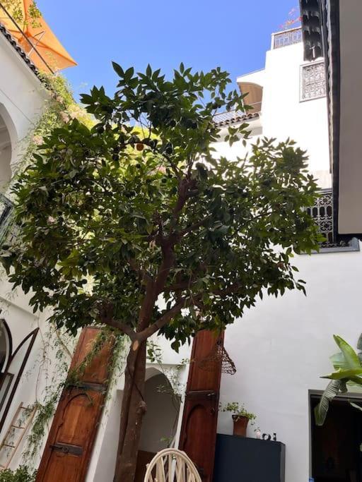 Riad Dar Fannan En Exclusivite Marrakesh Exterior photo